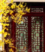 简单就是诗意